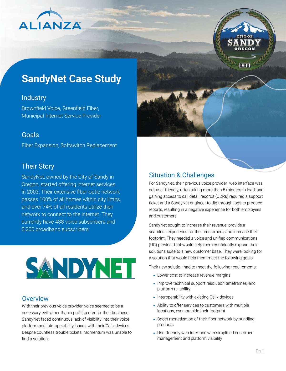 SandyNet Case Study