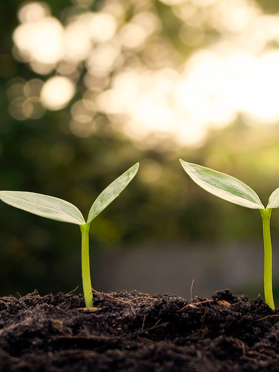 3 Ways Customer Advocacy + Network Automation Drive Growth